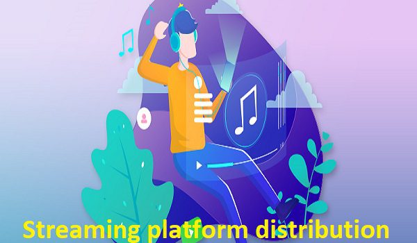 streaming platform distribution, music platforms distribution services, music platforms distribution, Music platforms, video marketing consultant, digital marketing