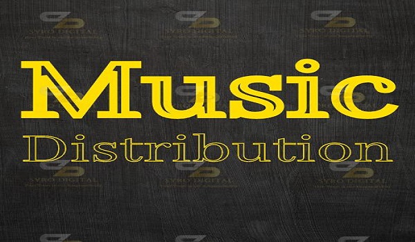 indian music distribution firms, music distribution companies in India, indian music distribution, music distribution companies, digital marketing, video marketing consultant