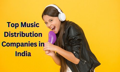 top music distribution companies in india, music distribution companies, best music distribution service in india, video marketing consultant, digital marketing